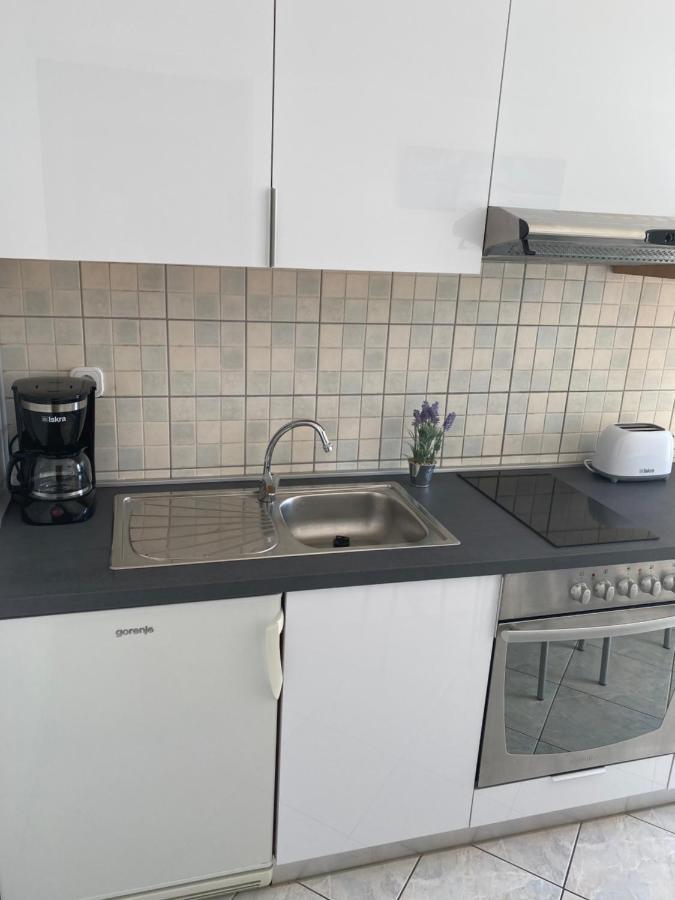 Apartmani Leona ビビニェ エクステリア 写真