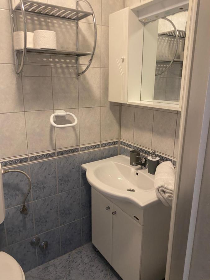 Apartmani Leona ビビニェ エクステリア 写真